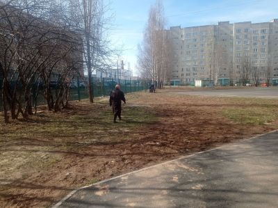IMG 20250424 095309 492