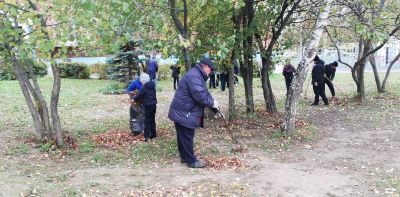 IMG 20251002 085751 resized 20251002 011013550