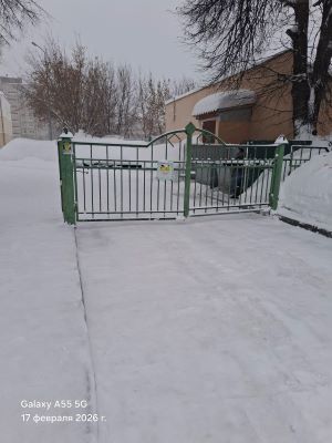 IMG 20260217 081343 334