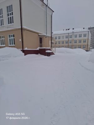 IMG 20260217 081343 502