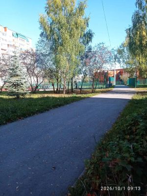 IMG 20261001 104002