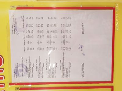IMG 20251117 104737